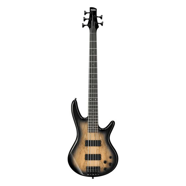 Ibanez GSR205SM-NGT Natural Gray Burst